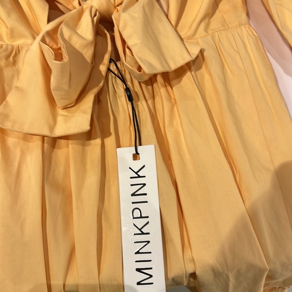 Mink Pink Piper Mini dress - Picture 2 of 2